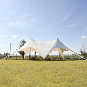 10*10M Size Promotional Trade Show Custom Large Event Tent Camping Beach Star Tent for Outdoor