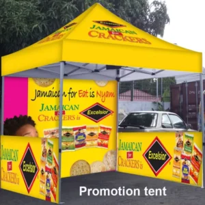 10 ft x 10 ft Awning Canopy Tent with 3 x 3 m Folding Frame for Outdoor Beach Sun Shelter