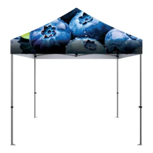 10X10Ft Advertising Outdoor Trade Show Tent Exhibition Event Marquee Gazebo Canopy Pop up Tents