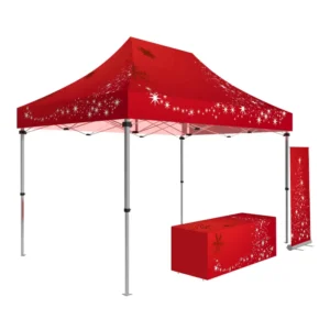 10×10 Heavy Duty Pop up Canopy Tent