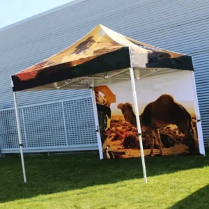 10×10 Waterproof Double-Layer Automatic Fire-Retardant Outdoor Canopy Tent for Trade Shows