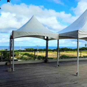 10x10ft 3x3m Easy up High peak Aluminum Frame Spring Top Tent for Wedding Party Rental in Jamaica