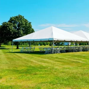 10x60ft Backyard Pavilion UV Protection Rot Proof Aluminum Frame Metal Hardtop Gazebo Tent Garden Shed