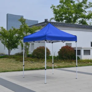 2*2m Custom Logo Outdoor Folding Tent Promotional Advertising Pop Up Canopy