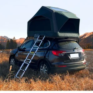 2-3 Person Waterproof Summer Inflatable Car Rooftop Tent with 2000-3000mm+ Protection