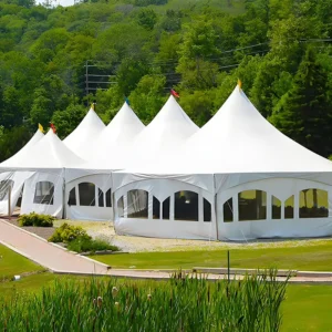 20′ X 40′ Outdoor Wedding Party Tent with Wind-Proof Sidewalls Large Frame Double Layers