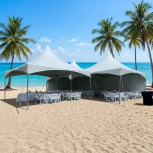3*6M 10ft*20ft Premium Heavy Duty High Peak Outdoor Tent Easy Install Movable Design Waterproof Fabric for Exhibition