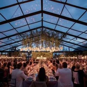 30×40 Outdoor Transparent Wedding Tent with Large Roof for 1,000 People, Event Party Tent