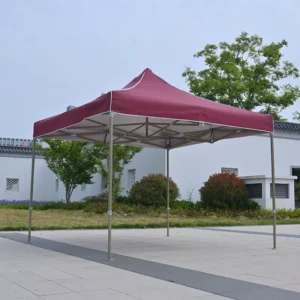 3x3m Hexagonal Camping Tent Bean Paste Green Frame With Drainage, Steel Wire, and Windproof Straps