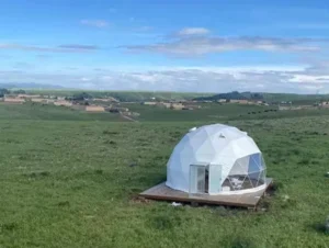 4m 5m 6m 7m 8m 9m 10m 15m Glamping Geodesic Dome Tent PVC Fabric Fireproof All-Season Outdoor Dome House Tent