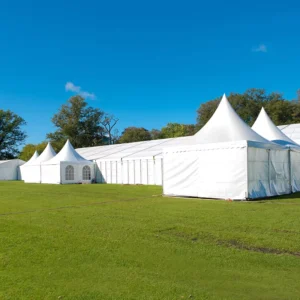 Agricultural Storage Shelters Extended Type Tent 30m-80m Span Waterproof Fireproof Windproof UV Protection Aluminum Alloy