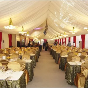 Aluminum Alloy Frame PVC Outdoor Marquee Tent, Rainproof, 20×40 / 6x12m, for 300-500 People and Sports