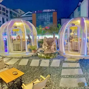 Bubble Tent Transparent Hotel Bubble House PolycarbonateGlamping Dome Tent with Led Light
