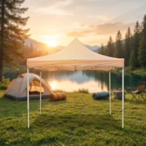 Canopy Tent Commercial Fair Shelter Car Shelter Wedding Party Easy Pop up