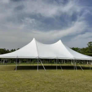 Celina High Peak Pole Wedding Party Tents 40ft X 60ft Outdoor PVC Festival Tent with Sidewalls for Events and Sale