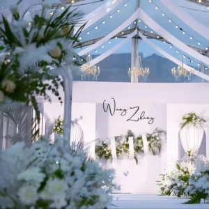Chic Wedding Tent Transparent Ceiling and Vibrant Fabric Options for Romantic Ceremonies and Lavish Receptions