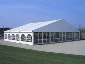 Clear Customized Event Tent for Advertising, Exhibitions, and Weddings