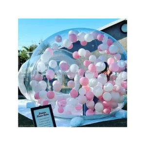 Clear Inflatable PVC Bubble Dome Tent with Single Tunnel