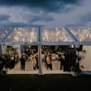 Clear Roof Transparent Outdoor Marquee Wedding Party Tent
