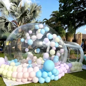 Commercial Grade PVC Transparent White Bounce House Inflatable Dome Bubble Tent Jumping Blower Ppw 2 Customized Size
