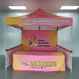 Custom 10×10 Steel Aluminum Frame Canopy Tent Folding Pop up Tent for Trade Show Display Outdoor Events Advertising Purpose