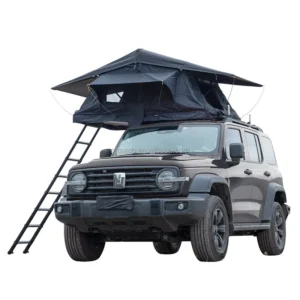 Custom Aluminum Durable Quick Automatic Opening Rooftop Tent One Bedroom Cotton Three-season Waterproof Double