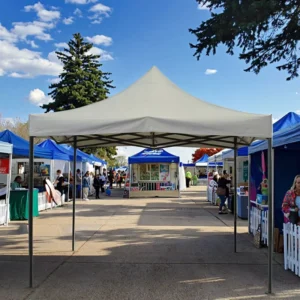Custom Logo 10×10 10×15 10×20 Heavy Duty Waterproof Pop up Canopy Tent for Advertising Trade Show and Commercial Events