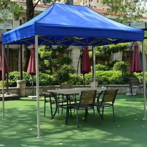 Custom Logo Canopy Tent for Advertising Display