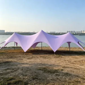 Custom Outdoor Luxury Canopy Tent Shade Marquee Large Tent Waterproof Tarp Awning Trade Show Party Event