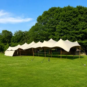 Custom PVC Waterproof UV Resistant Stretch Four-Season Eco-Friendly Tent Outdoor Event Canopy for Wedding Party Festival