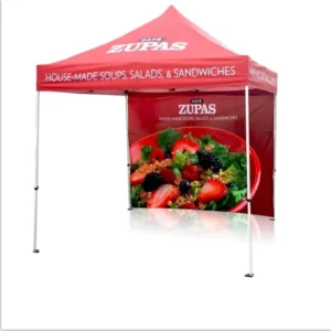 Custom Printed 3x3m Pop-Up Canopy Tent with Full Back Wall