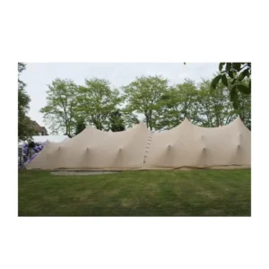 Custom Size Large Wedding Marquee Party Tent for Sale