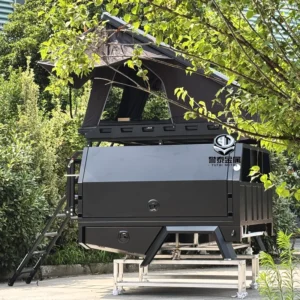 Custom Ute Tray and Canopy with Rooftop Tent for Pickup Truck, Hilux, Isuzu, Land Cruiser 79