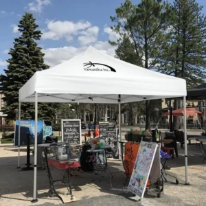 Customizable 2.5×2.5m Solid Color Anti-Rust Steel Frame Canopy Tent Outdoor Garden Trade Show Shelter Gazebo