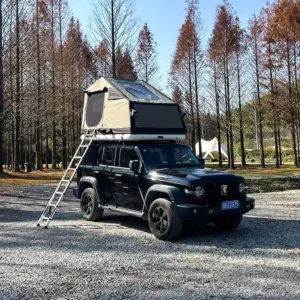 Inflatable Rooftop Tent Thickened Lightweight Waterproof SUV Roof Tent for Camping Four-Season 2-3 Persons 33kg