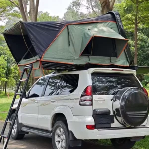 Customized Logo Hard Rooftop Tent for Pickup Truck Waterproof Windproof Car Roof Camping Tent