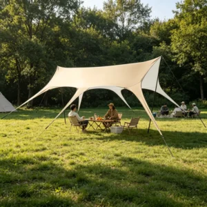 Direct Factory Tarp Tent Shelter and Shelter Tarp for Outdoor Barbecue Party Waterproof Sun Shade