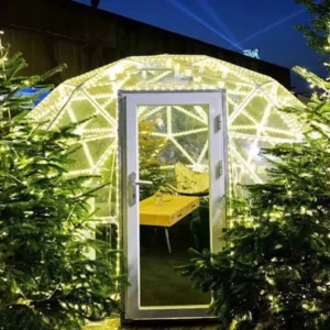 Direct Selling 4m Igloo Geodesic Restaurant Clear Transparent Dome Tent for Dinner