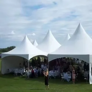 Durable Aluminum Frame Waterproof All Seasons Straight Bracing Party Tent for Community Block Parties Outdoor Shelter Solution