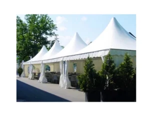 Easily Assembled Outdoor Sports Tent Trade Show Tent Canopy 5×5 Aluminum Frame Wedding Tent