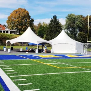 Factory Sell Dia 20ft 6M Trade Show Event Outdoor Tent Hexagonal Party Pinnacle Marquee High Peak Wedding Tents