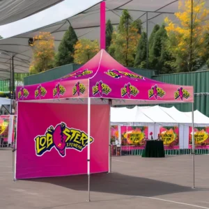 Foshan High Quality Commercial Canopy Tent Custom Logo Print Pop up 10X10 Canopy Tent