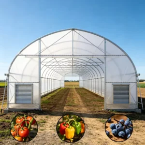 Green House Complete Set Greenhouse For Commercial Agriculture