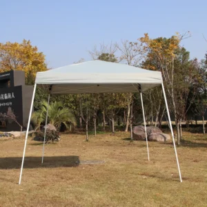 Guaranteed Quality Unique Camping Equipment Market Tent