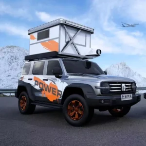 Hard Shell 2 3 Persons Rooftop Tent for All Season Include Ladder Cross Bar and Shoe Bag