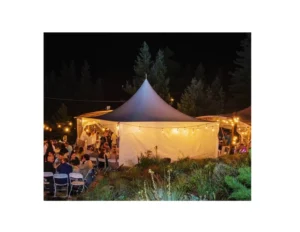 Heavy Duty 3x3m 5x5m 6x6m Canopy Tent Outdoor Party Wedding Tent