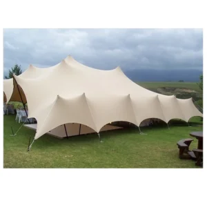 Heavy Duty Aluminum Tensile Event Tents Marquee Stretch Wedding Tent for Sale