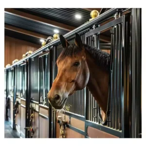 Heavy-Duty Portable Horse Stalls and Temporary Stable, Heat-Treated, Australia