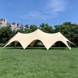 Indoor&Outdoor Four-Season Stretch Tent UV Protection Canopy Steel/Aluminum Alloy Frame Polyester Fabric for Wedding Party