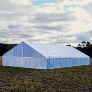 Industrial Peach Shaped Curved Extended Type Tent Outdoor Wedding Party Exhibition Marquee Tent Waterproof Customized PVC